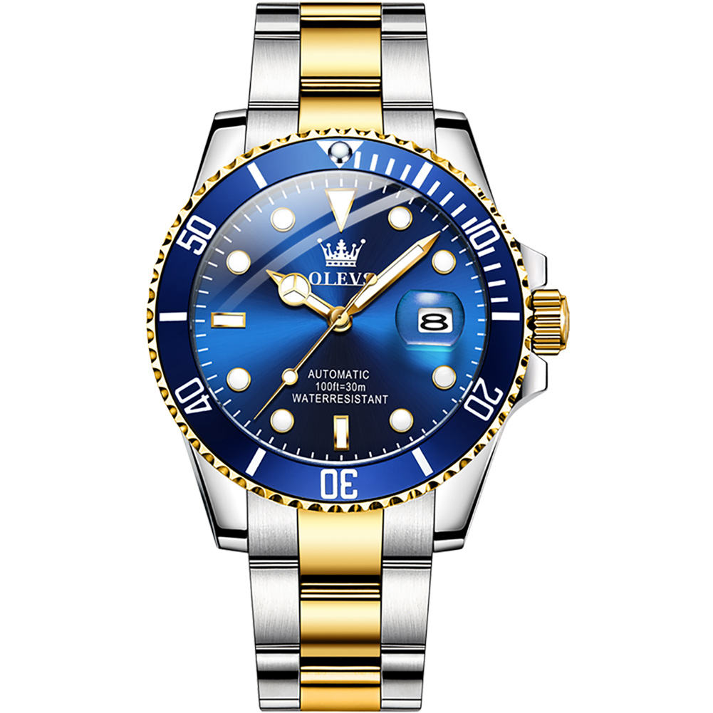 Elite Professional Automatic Diver Watch