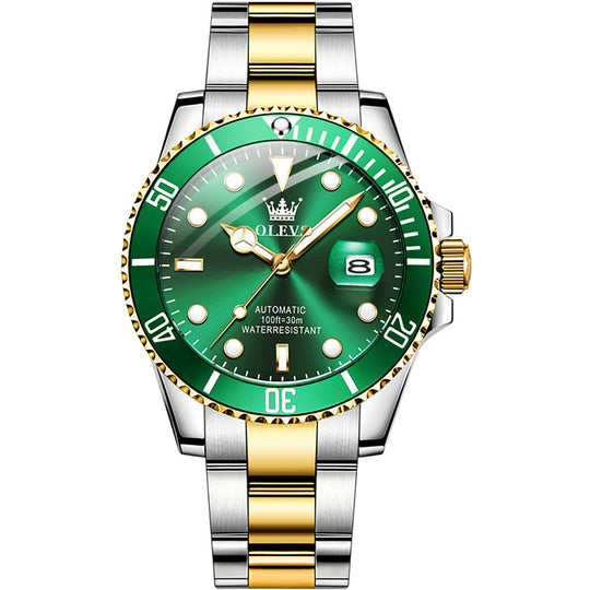 Elite Professional Automatic Diver Watch